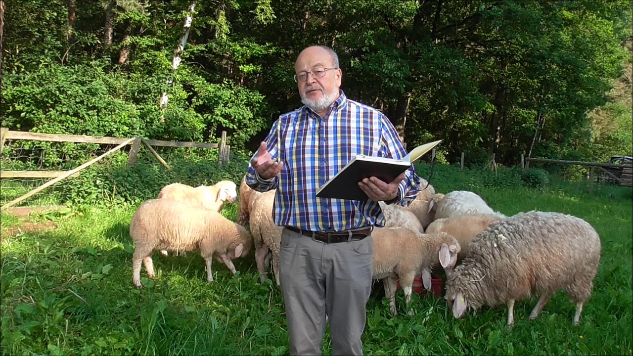 Manni kallt Platt: 