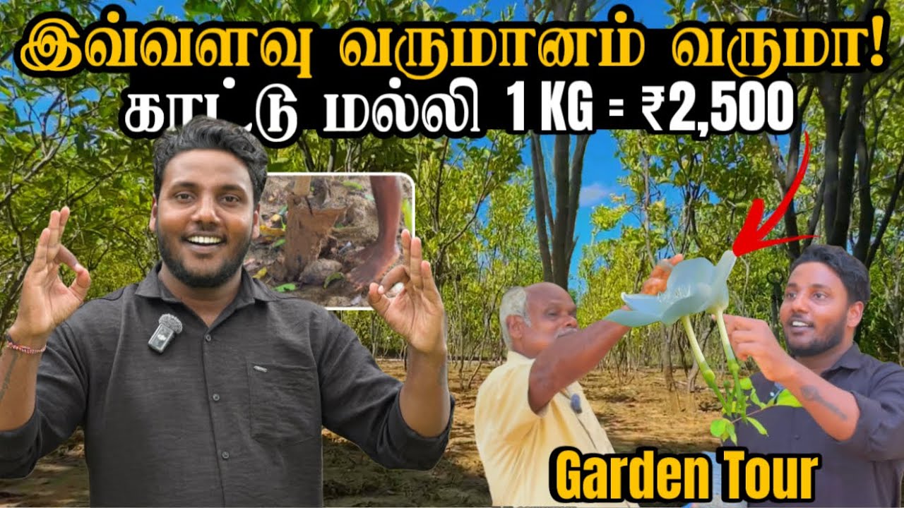 இவ்வளவு வருமானம் வருமா! 🔥😱😍 | 🌸 1 KG மல்லி பூ ₹2500! 😲 | Garden Tour | Ketpeli | Pavaneesan