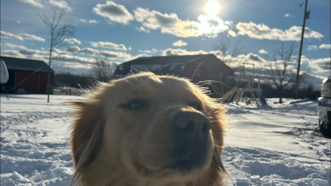 Clearing the pond with Oakley ￼