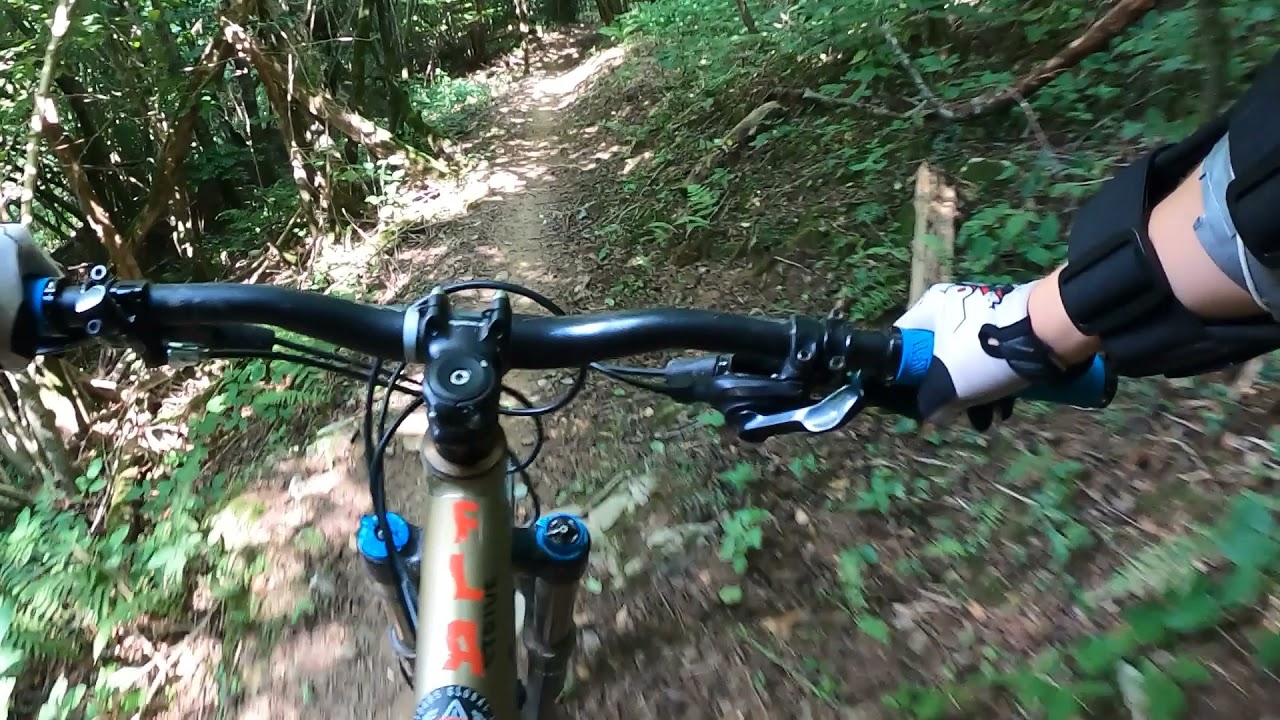Robidi&scaron;če trail center: Logyeh
