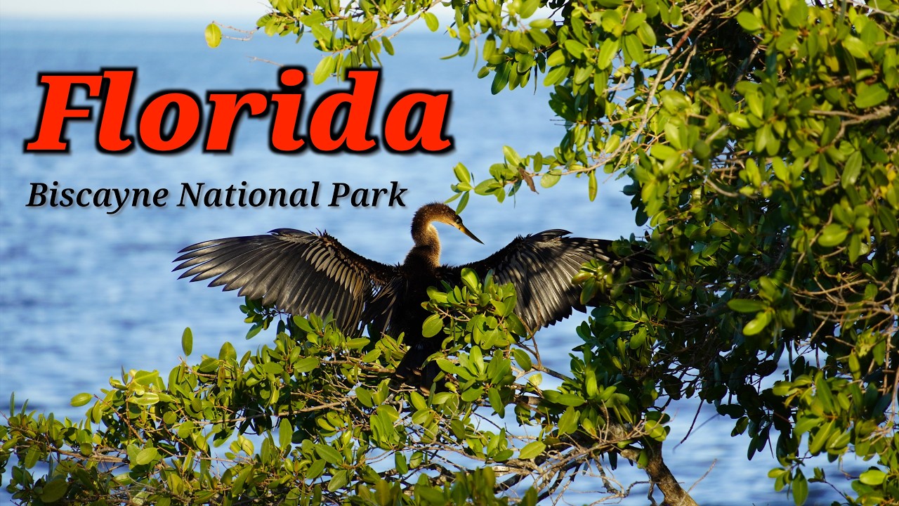Florida National Park | Biscayne Above Water: Boating, Lighthouse & Coastal Wildlife | Miami