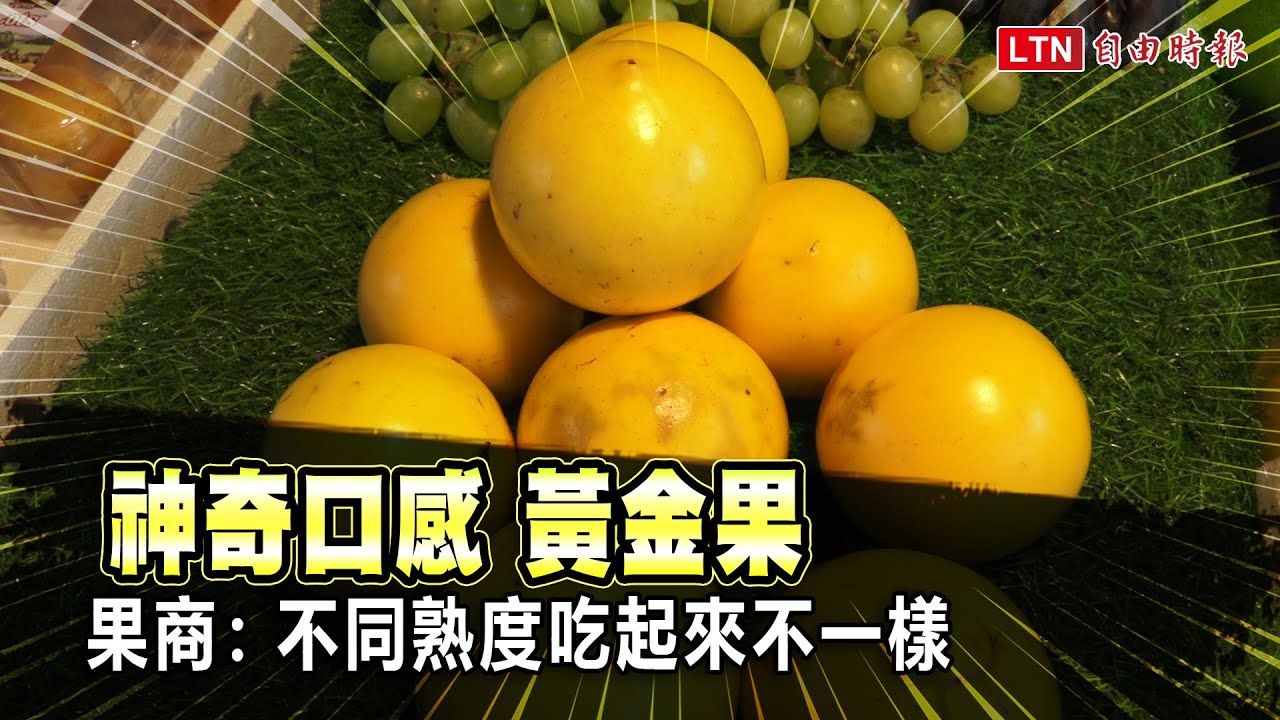 網路熱議黃金果！超神奇口感必嚐 果商：不同熟度吃起來不同