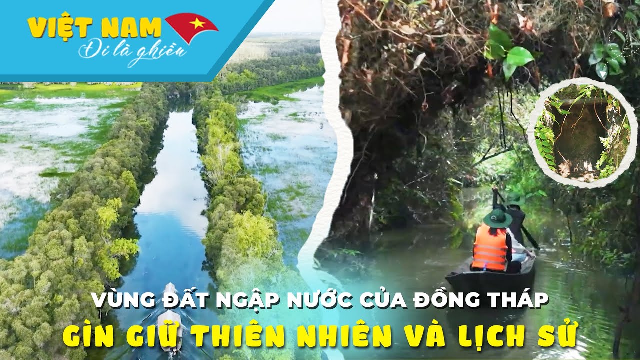 Căn cứ bí mật lịch sử ẩn mình sau cánh rừng tràm Đồng Tháp | VIỆT NAM ĐI LÀ GHIỀN