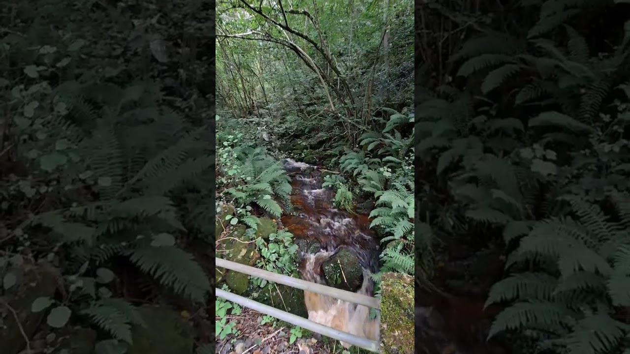 Boinas, Belmonte de Miranda. Asturias