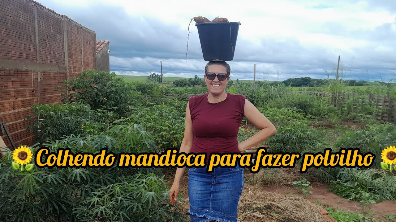 #COMO FAZER SEU PRÓPRIO POLVILHO 