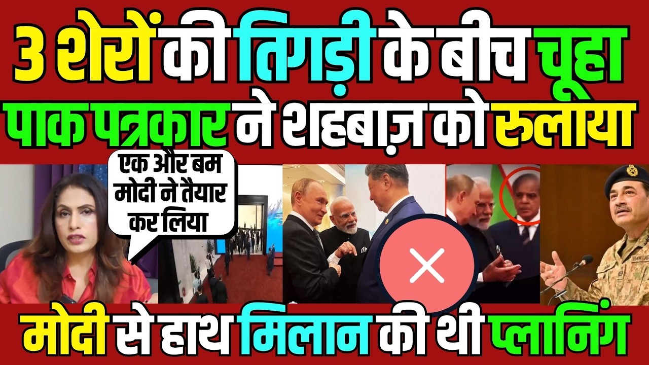 Pak Patrakar Funny views on Shehbaz Sharif | PM Modi, Xi Jinping, Putin  meetup | Pak Media