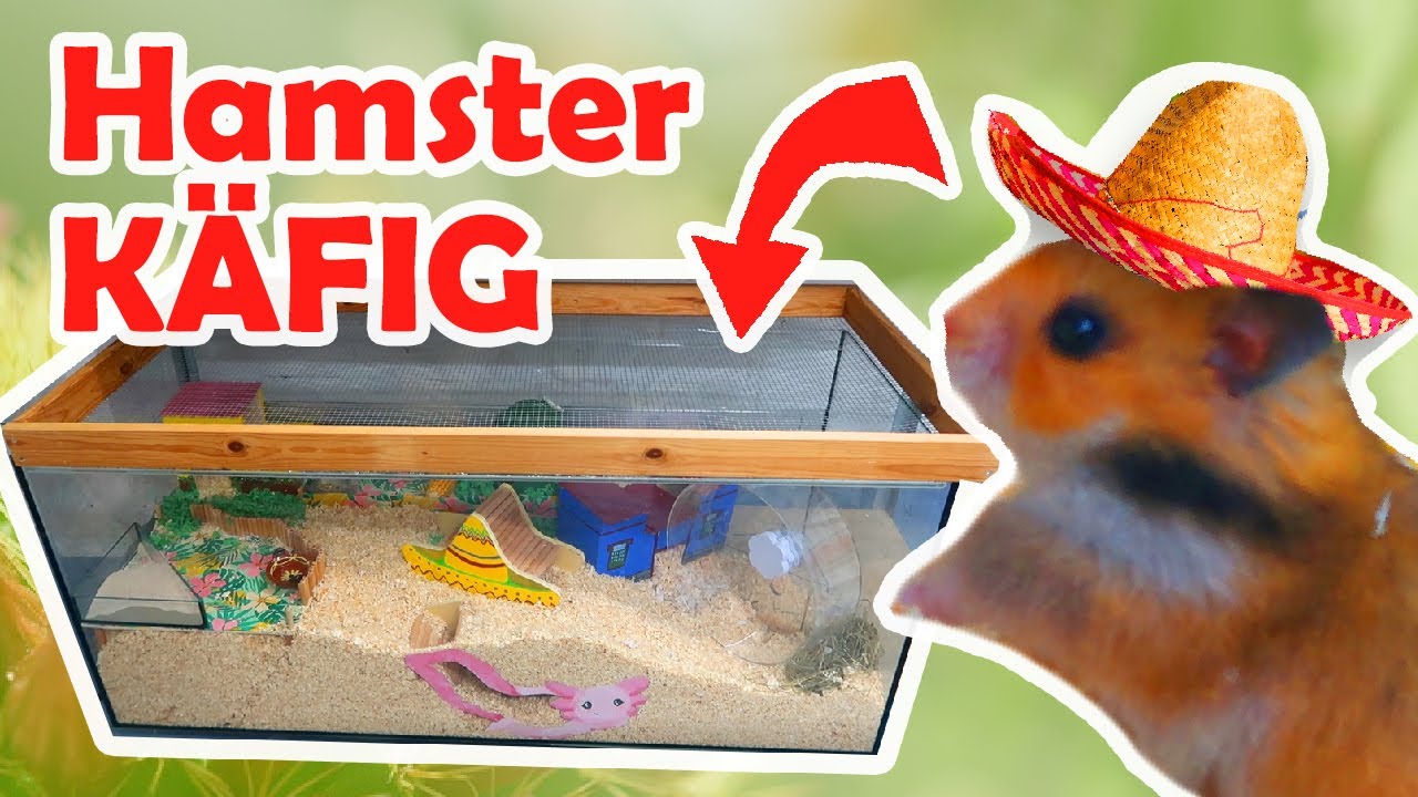 Ich baue für Hamster Baby ein Zuhause 🐹 Teddyhamster Käfig 💖Käfig DIY einrichten 🐾 Hamsterhaltung