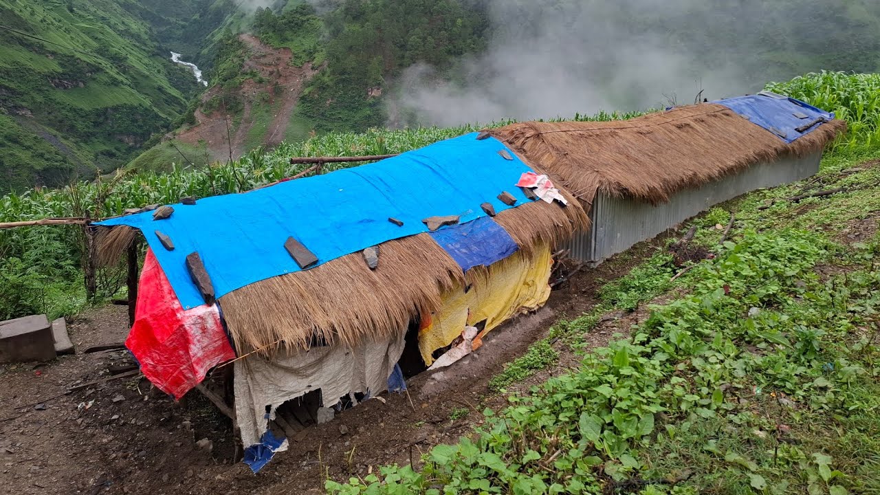 Most Peaceful & Relaxing Mountain Village Life in Rainy Season | All Season Documentary video |