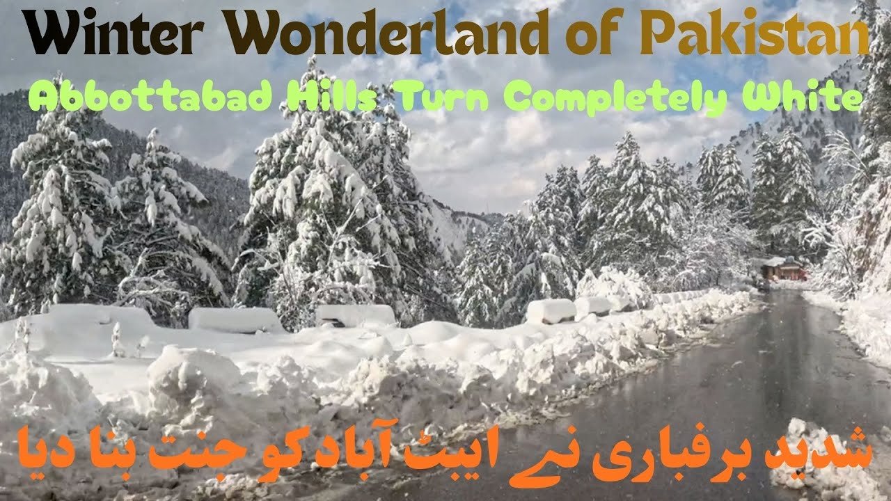 Snowfall Turns Abbottabad Hills Into a White Paradise