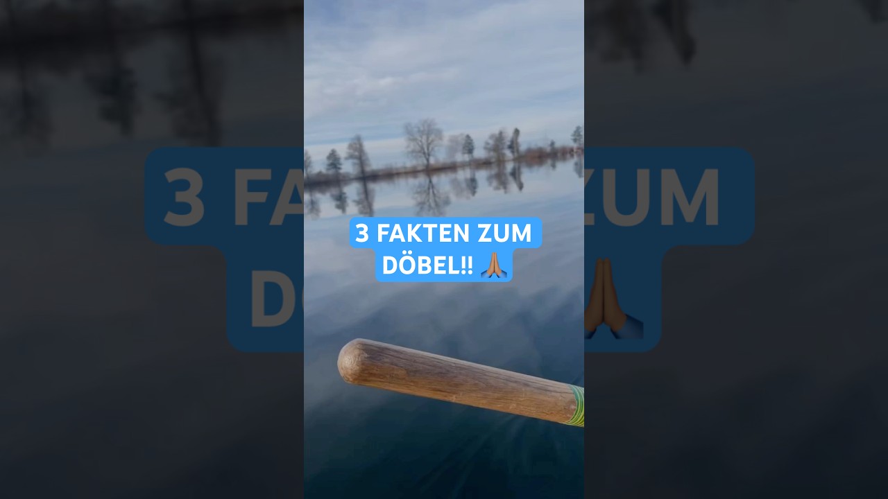 Wusstest du das? 😁🎣 #d&ouml;bel #aitel #angelfakten #anglerwissen #fischenistleben #fischer