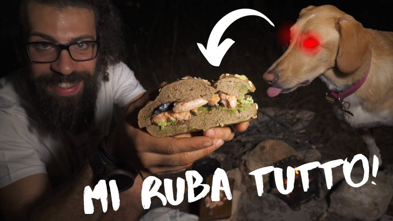 🐕 Campeggio nel BOSCO con il mio Cane e Paninazzo Bushcraft - Mi vuole rubare tutto! 🐺
