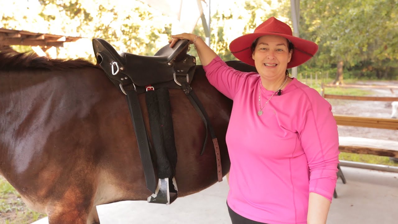 How to Properly Fit A Saddle On Your Horse