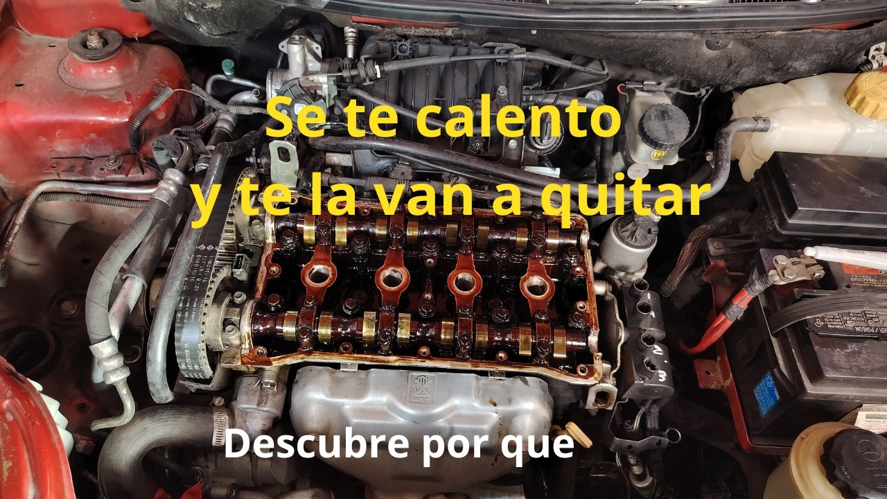 Cuando es necesario el Cepillado de cabeza