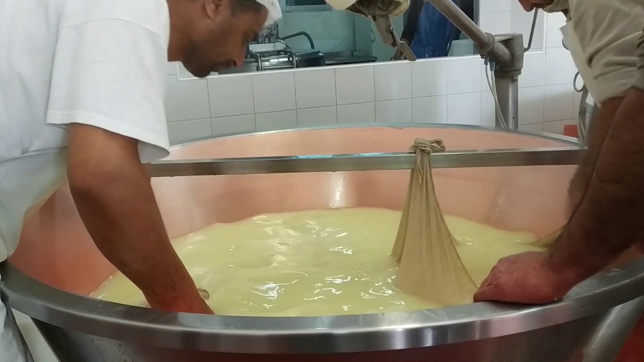 Tra Terra e Acqua. Il paesaggio della Bassa - 08/05/2019