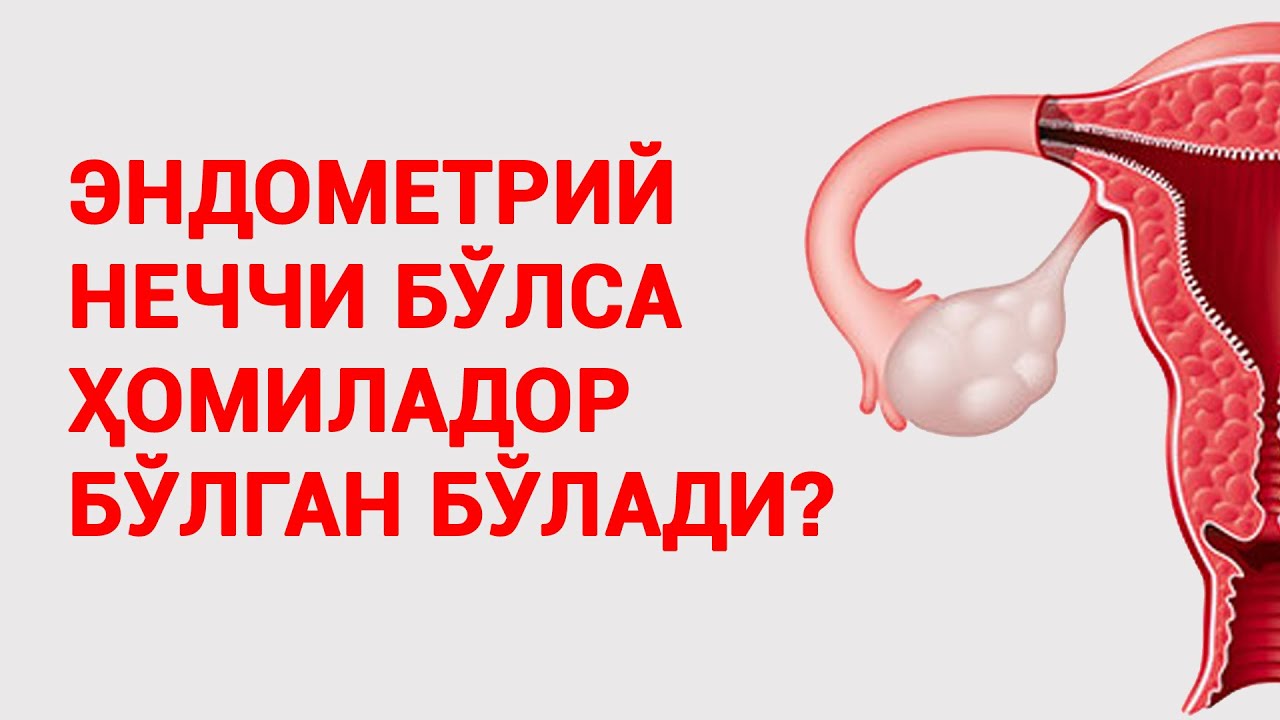 Эндометрий неччи бўлса ҳомиладор бўлган бўлади? #doctorYakubjonov