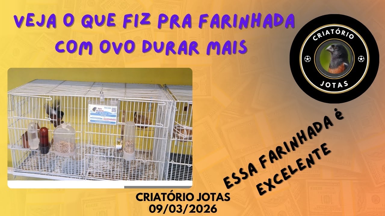 Como fazer a farinhada com ovo durar mais!