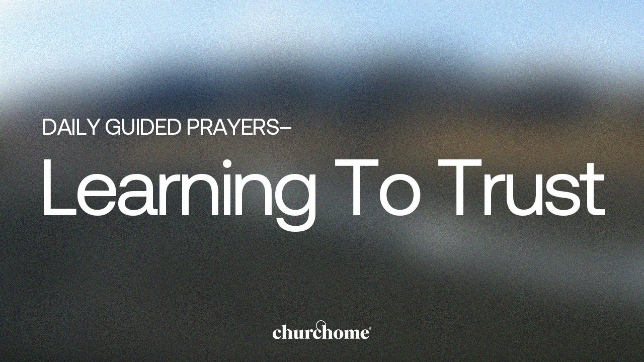 Learning To Trust