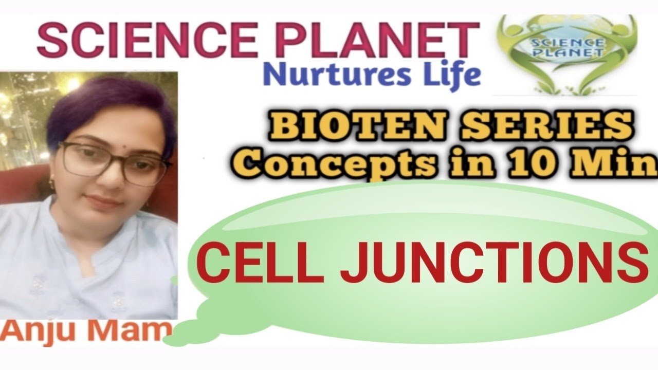 TYPES OF CELL JUNCTIONS II ANCHORING II OCCLUDING II COMMUNICATING JUNCTION II BY ANJU MAM