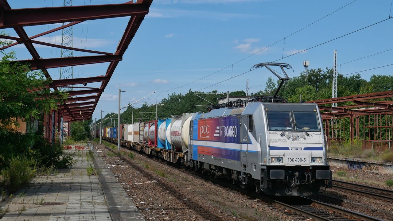Zwei Sommertage in der Pirschheide