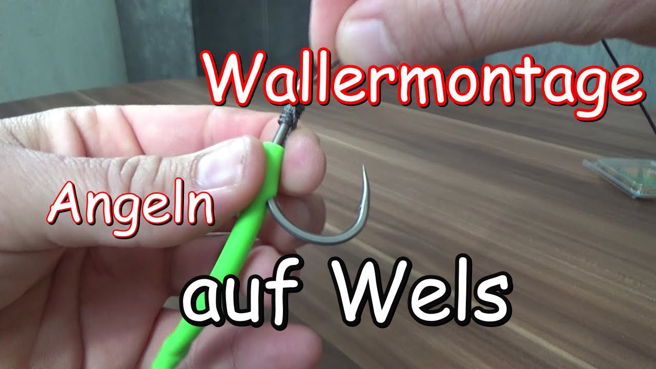 Wallermontage die niemand kennt für die kalte Jahreszeit selber binden.