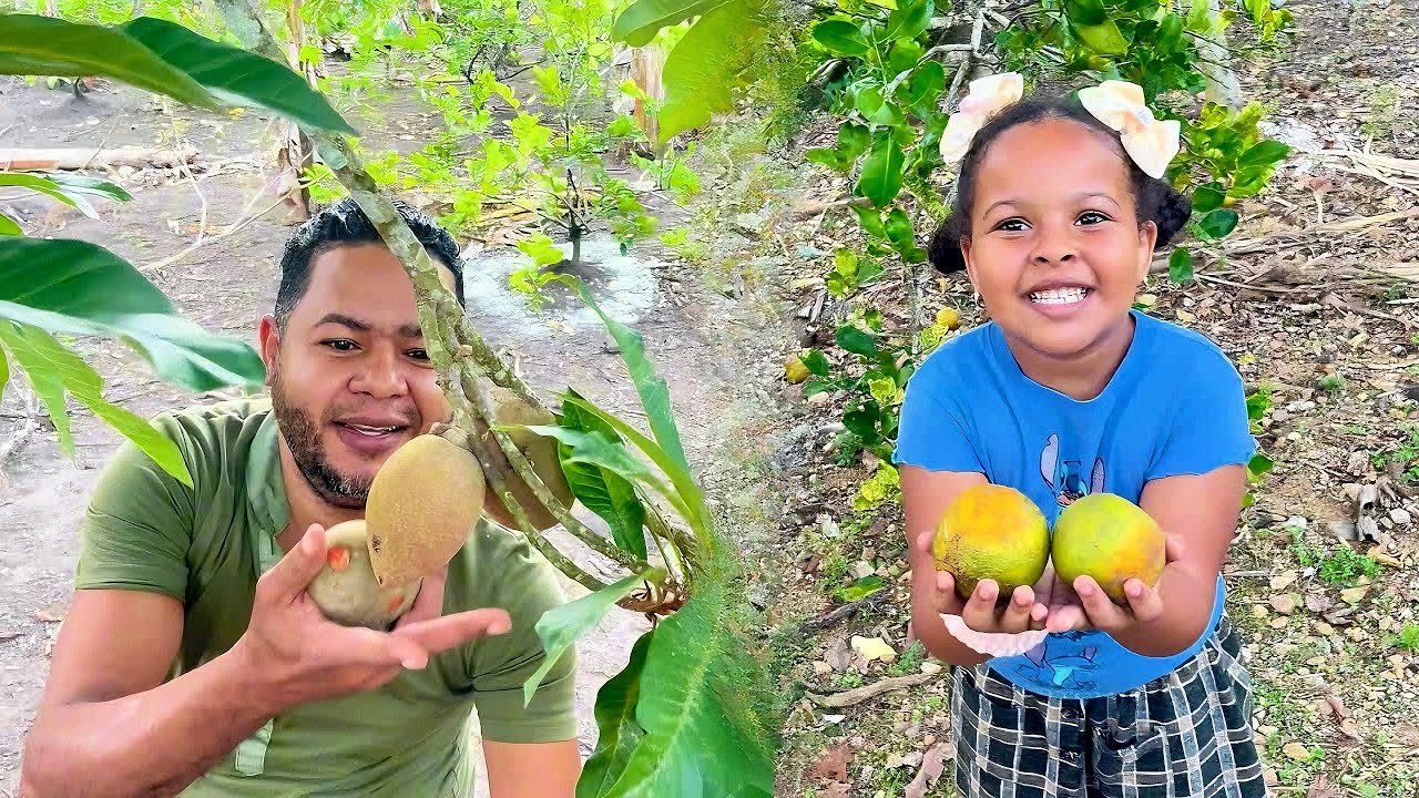 La vida del campo es saludable en República Dominicana 