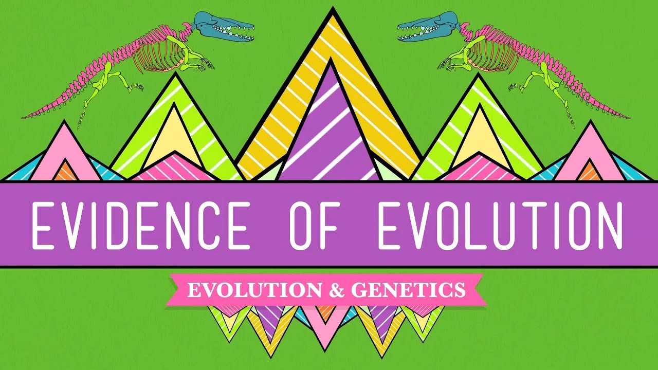 Evolution: It's a Thing - Crash Course Biology #20