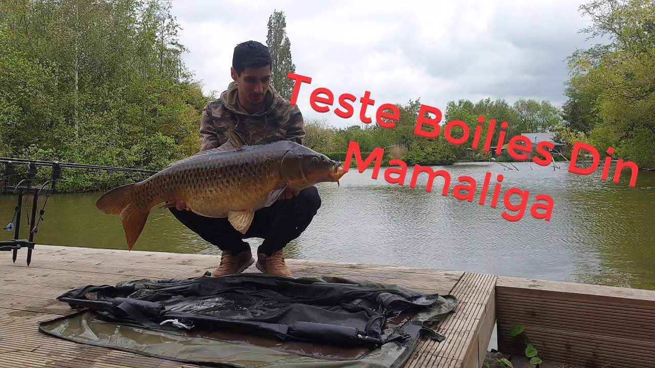 Pescuit la Boiliesuri din Mamaliga (Ucigasa din Porumb)