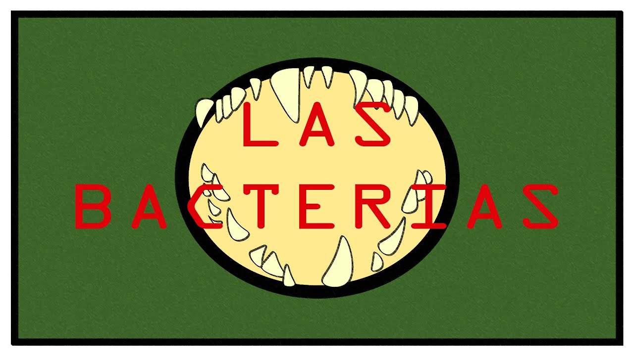 Biología | Microbios - Las Bacterias ¿Que son?