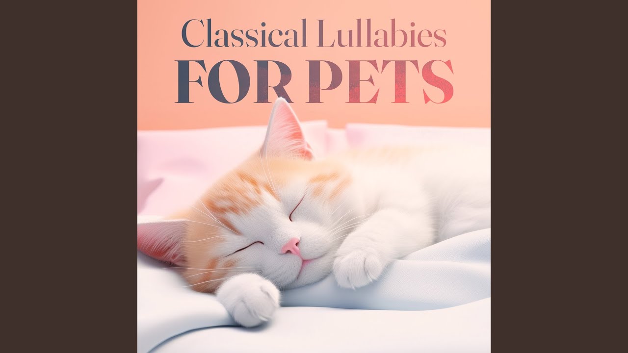 Fantasía para un gentilhombre: II. Españoleta y Fanfare de la Caballeria de Nápoles. Adagio