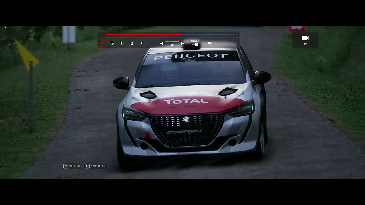 Assetto Corsa Rally - Peugeot 208 Rally4 - Steigenbach
