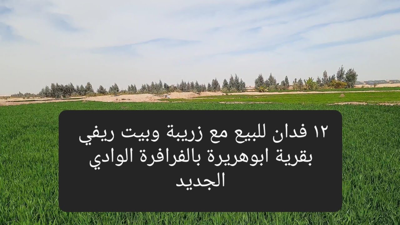 تم البيع بالحلقة ٩٦١