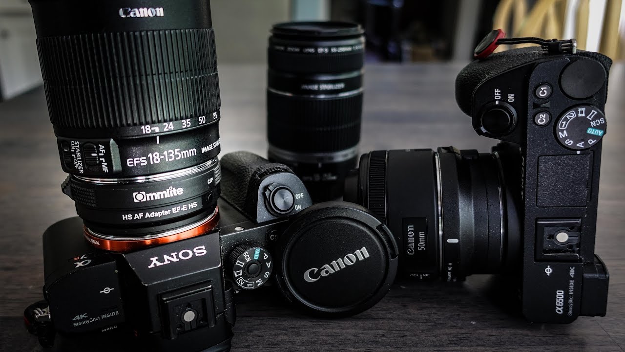 Canon Lenses on Sony Cameras with VIDEO AUTOFOCUS!