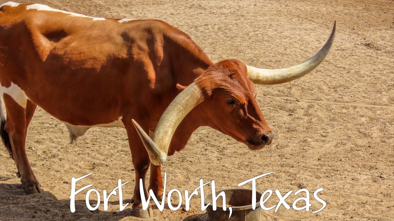 Fort Worth, Texas