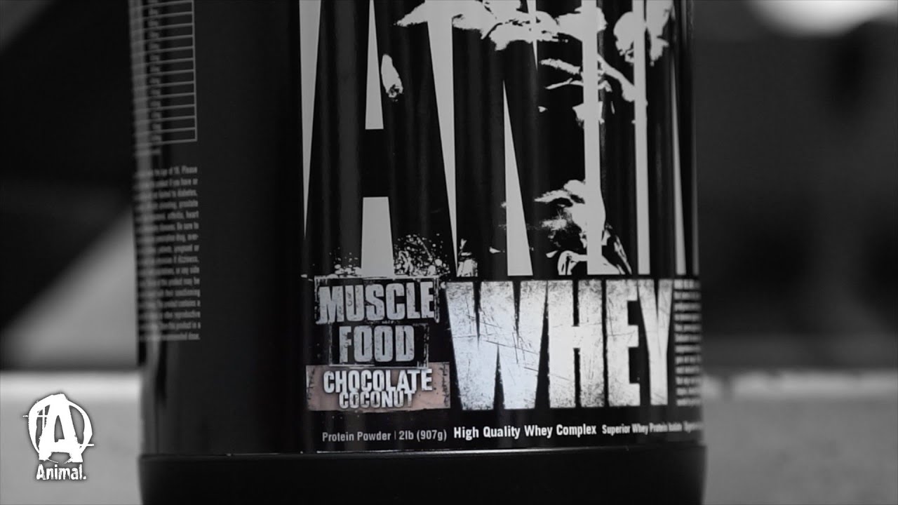 ANIMAL WHEY 