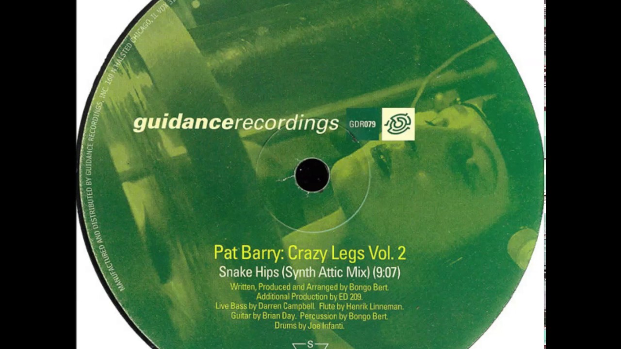 Pat Barry  -  Snake Hips (Synth Attic Mix)
