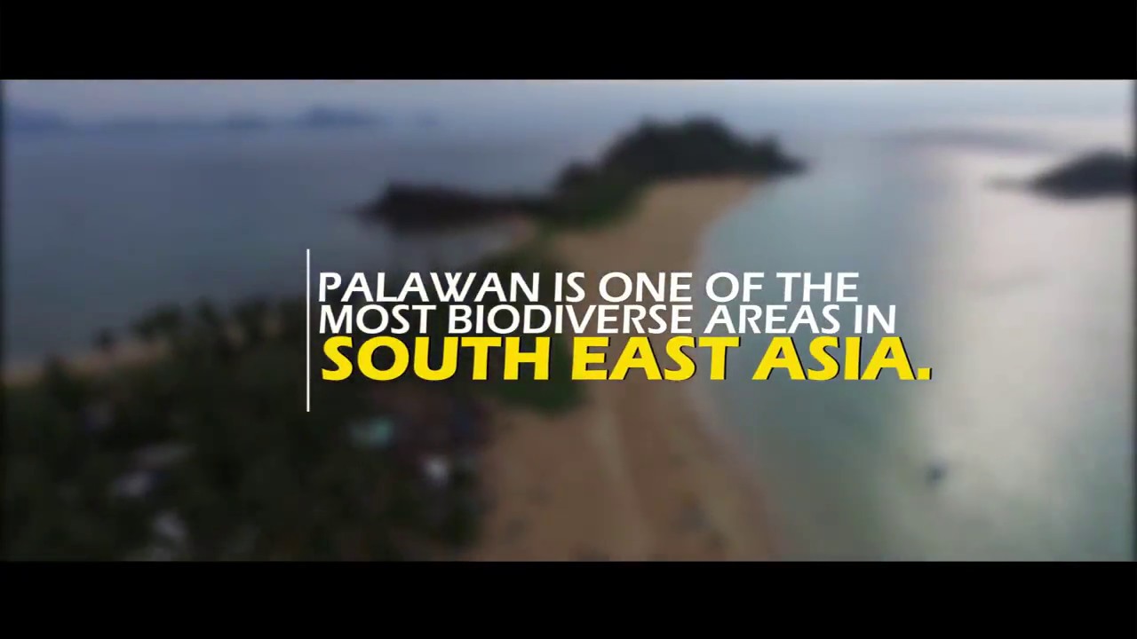 Wonders of Palawan