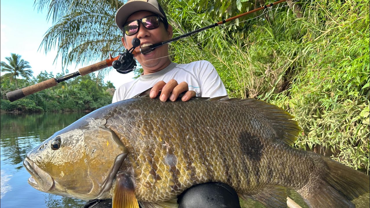 MONSTER SUNGAI PAPUAN SPOTTAIL BASS