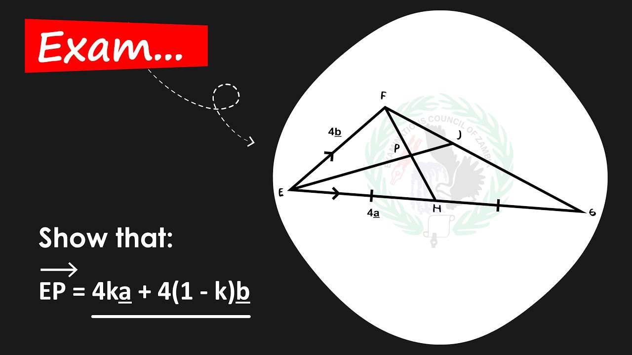 Vectors: 2024 Paper 2 Exam Solved!