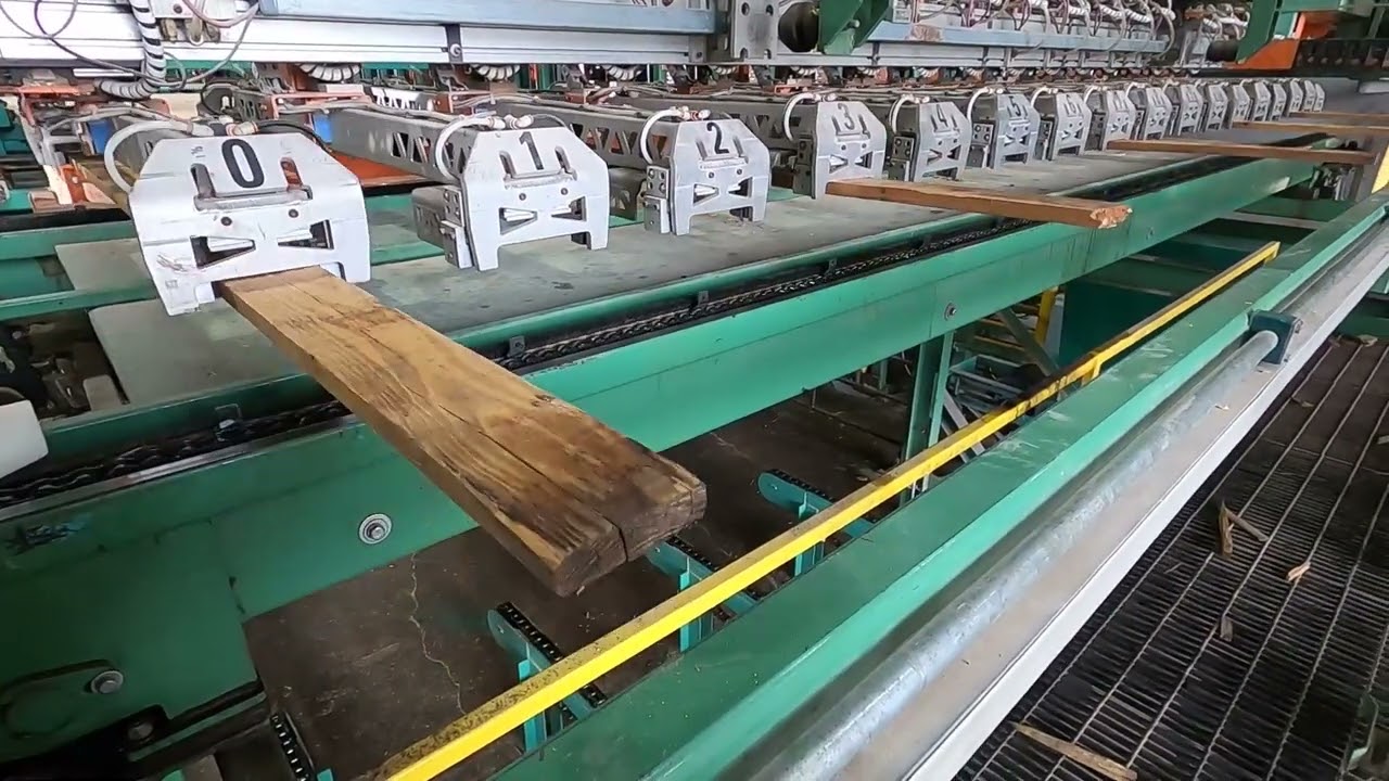 AccuPlacer SYP Sawmill
