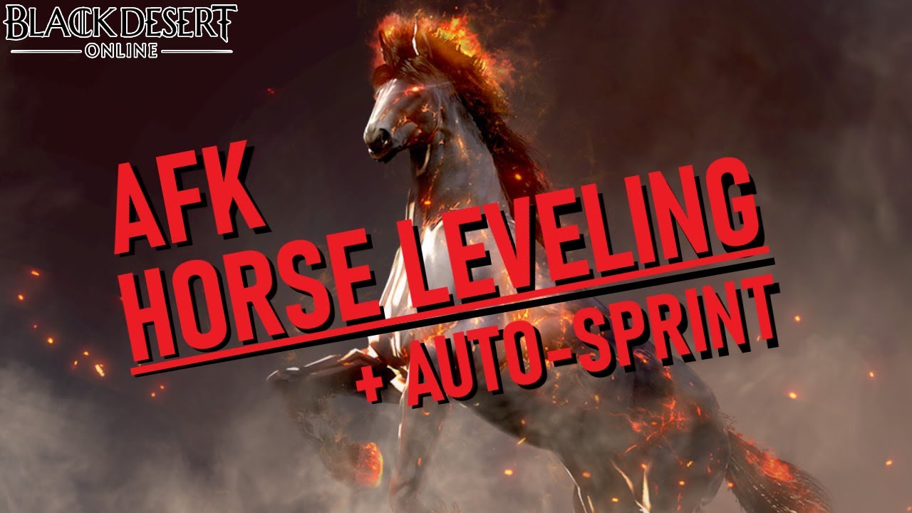 Руководство по прокачке лошади в режиме AFK и разблокировке автоспринта | Black Desert Online