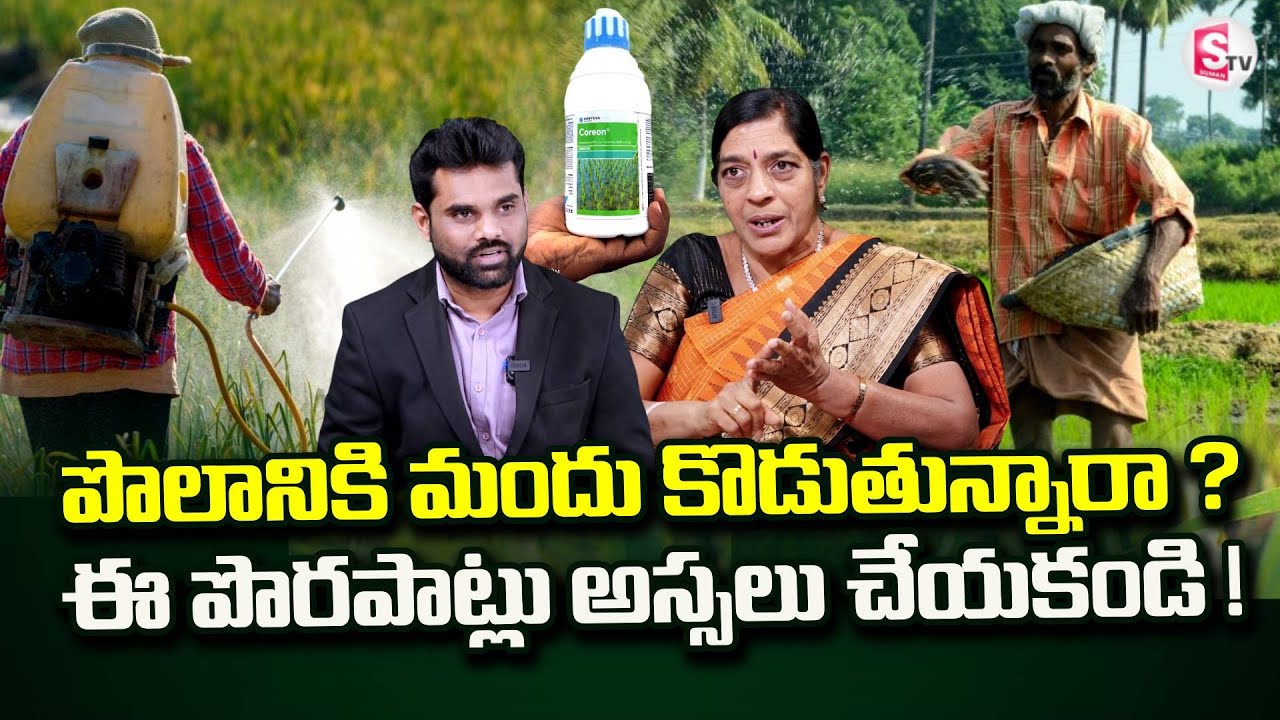 Paddy Farming : తక్కువ ఖర్చులో ఎక్కువ దిగుబడి తీసే పద్దతి | SumanTV Vali |  @SumanTVRythu