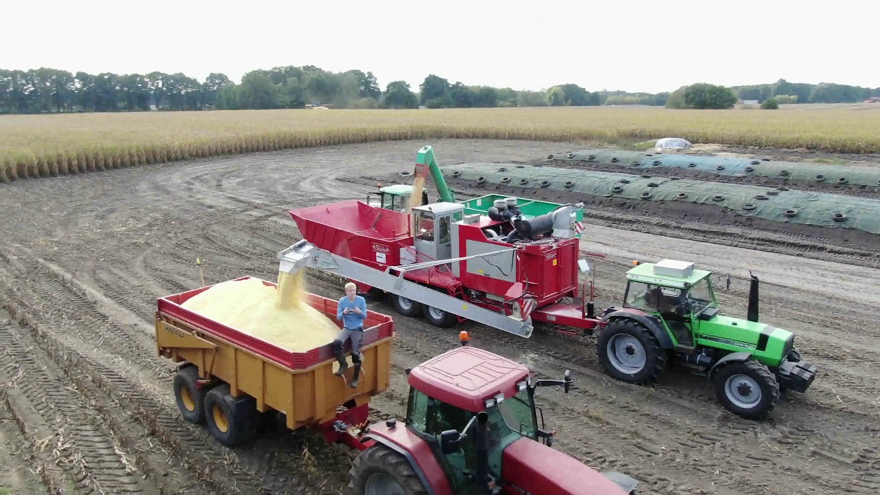CCM- und Silo-Maisente 2019.