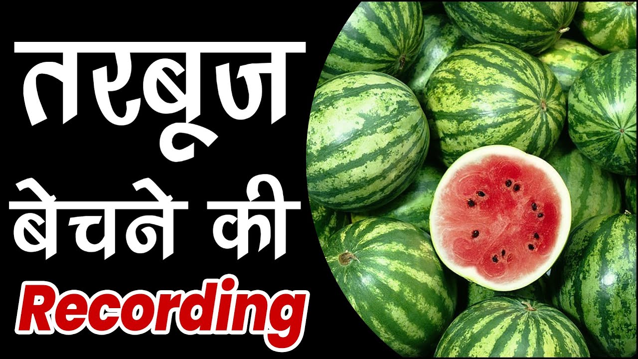 [ हिंदी ] तरबूज की रिकॉर्डिंग I TARBOOJ KI RECORDING I चोमू के तरबूज बेचने की रिकॉर्डिंग I 2023