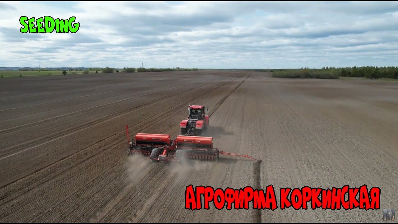 Посевная - 2024