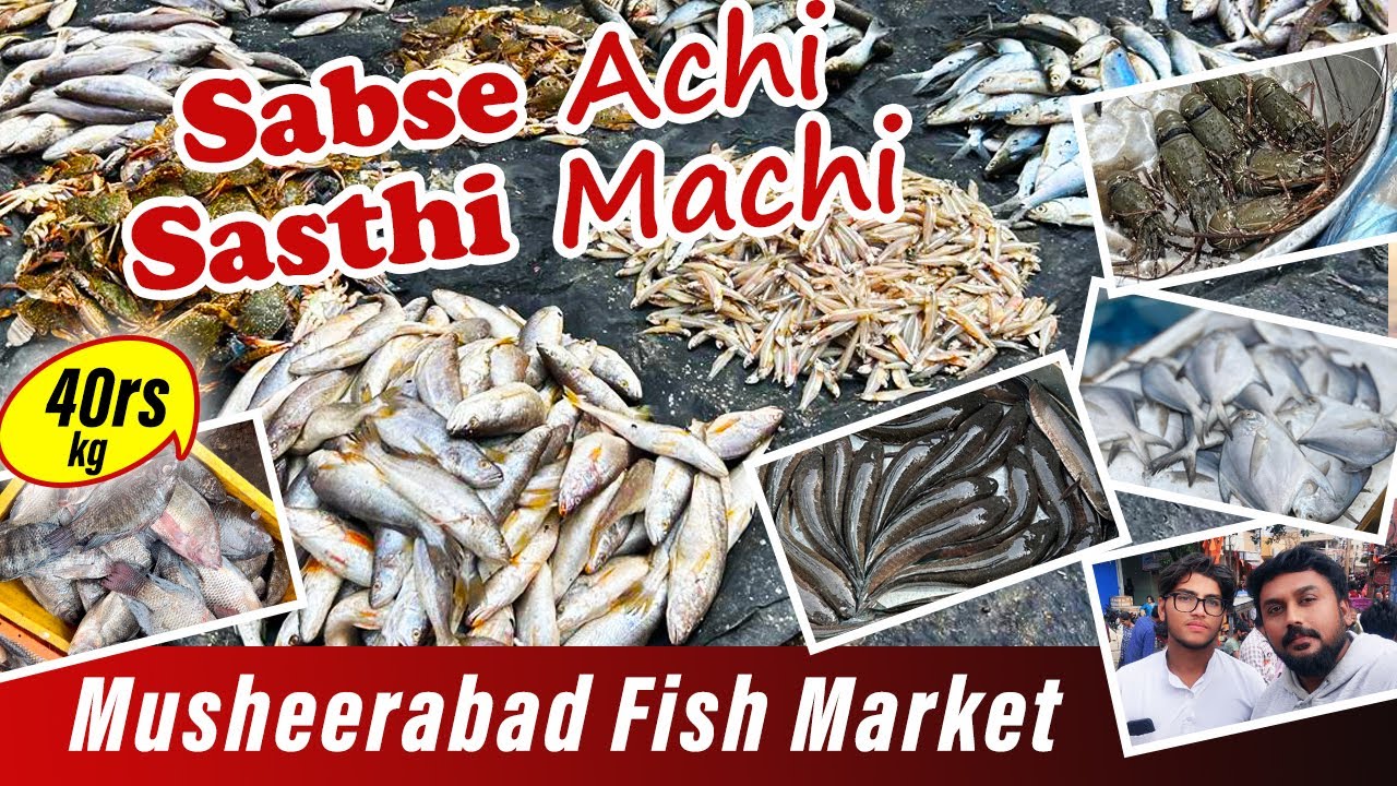 Biggest & WholeSale Fish Market in Hyderabad 🐟#fish #market #musheerabad #machimarket #viral