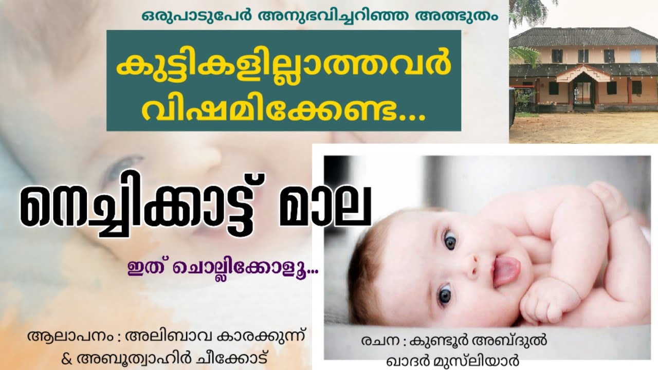 നെച്ചിക്കാട്ട് മാല..|NECHIKKAT MAALA |Kundoor usthad |Alibava Abuthahir |