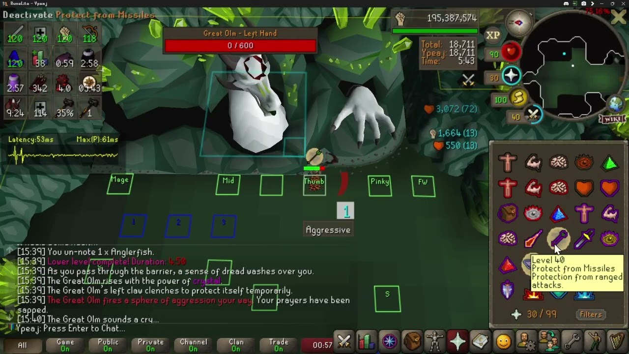 [OSRS Leagues 5] CoX Solo - 8:56