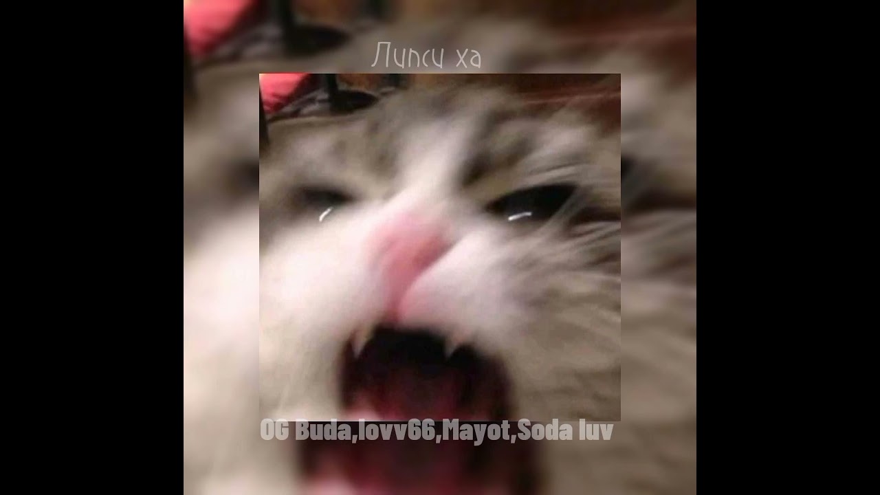 Lipsi ha-OG Buda,lovv66,Mayot,Soda luv (slowed/slow version)