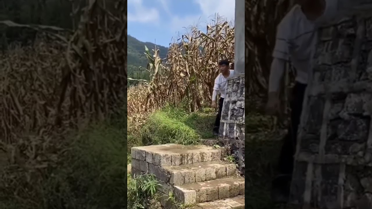 Dog saved his owner life by giving first aid ( cpr ) 😱😱 