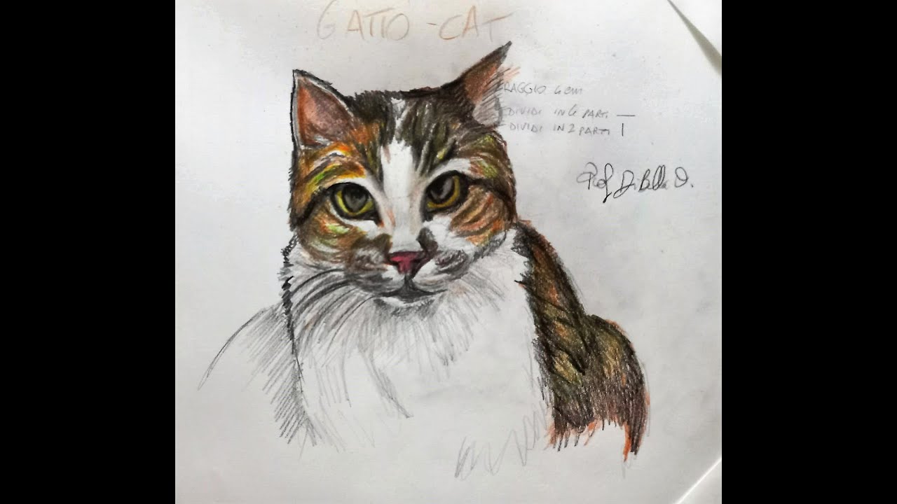Coloriamo il gatto Gastone